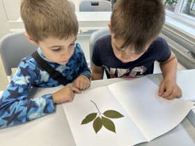 Ребята изучили образцы растений в центре &quot;Точка роста&quot;.